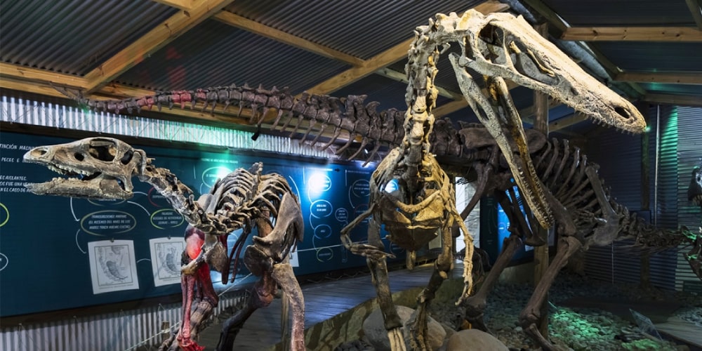 Centro de Interpretación Histórica de Calafate dinosaurios