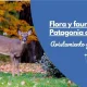 Flora y fauna en la Patagonia argentina: avistamiento y ecoturismo