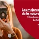 Las mejores imágenes de la naturaleza. Cómo hacer un viaje fotográfico por la Patagonia argentina