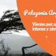 Zona de viento en la Patagonia Argentina